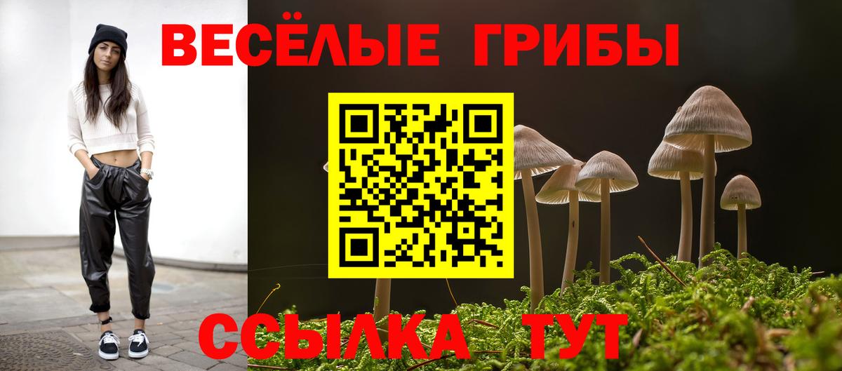 Елабуга  Галлюциногенные грибы Magic Shrooms  Вход с VPN 